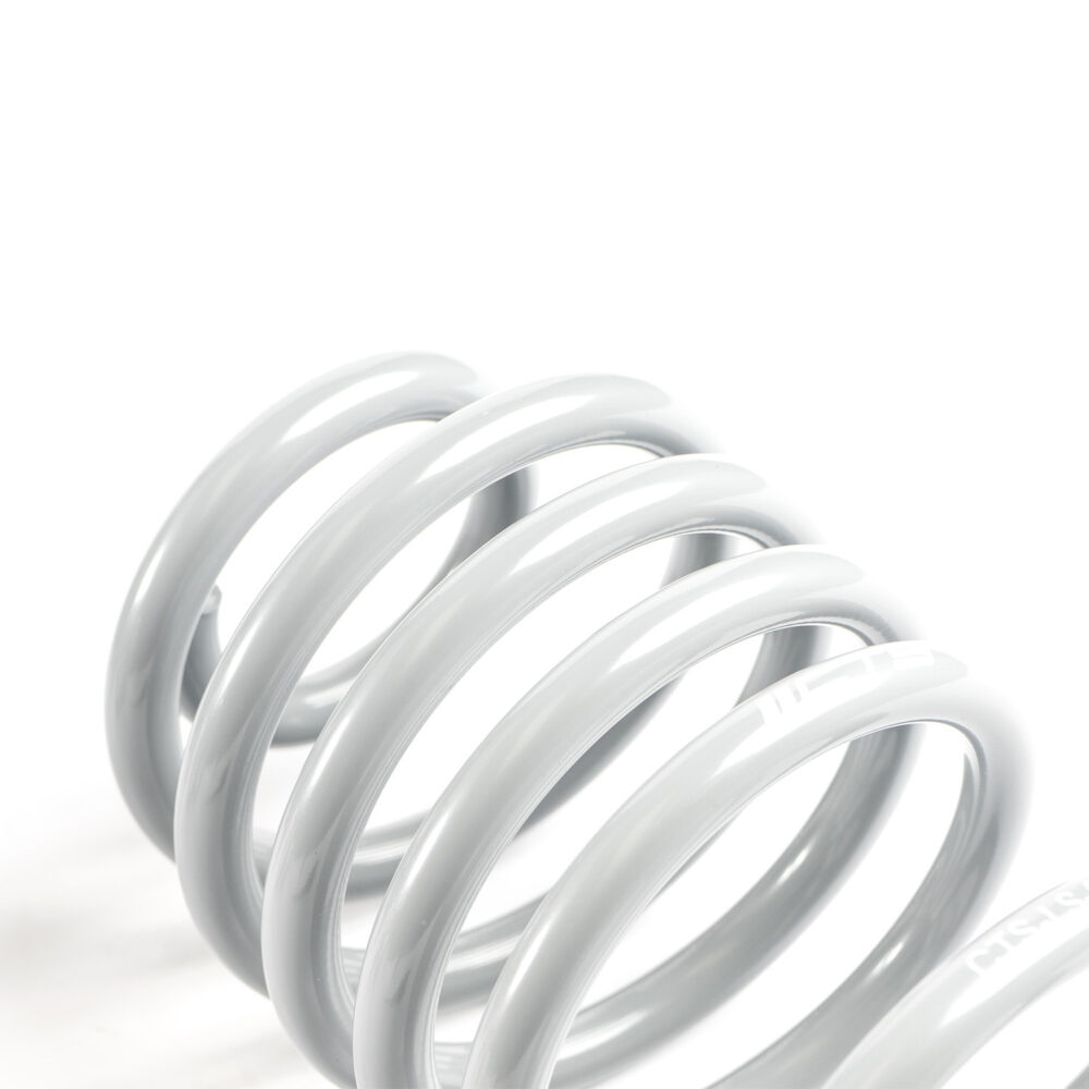 CTS Turbo B8/B8.5 Audi A4/S4 Lowering Spring Set - Image 3