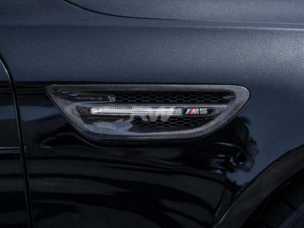 RW Carbon BMW F10 M5 Carbon Fiber Fender Grilles