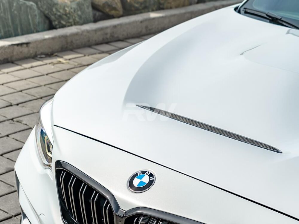 RW Carbon BMW F87 M2 F22 F23 GTS Style Aluminum Hood - Image 5