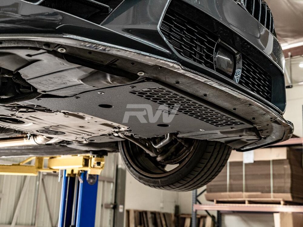 RW Carbon BMW F90 M5 Oil Cooler Guard - Image 2
