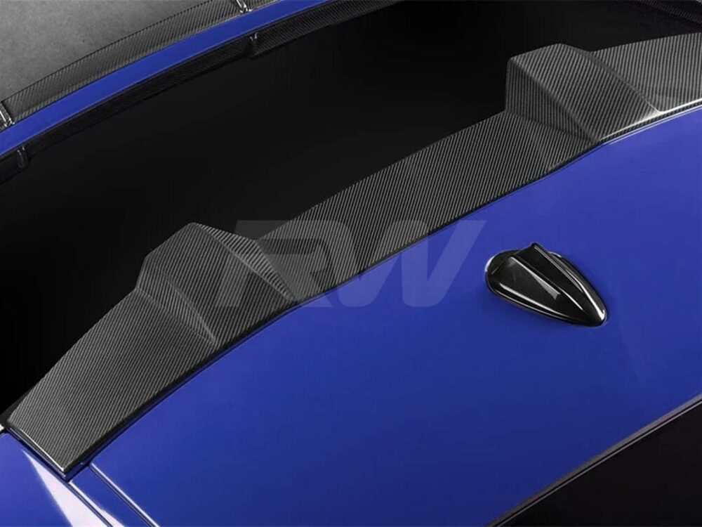RW Carbon BMW G06 X6 F96 X6M DTM Carbon Fiber Roof Spoiler