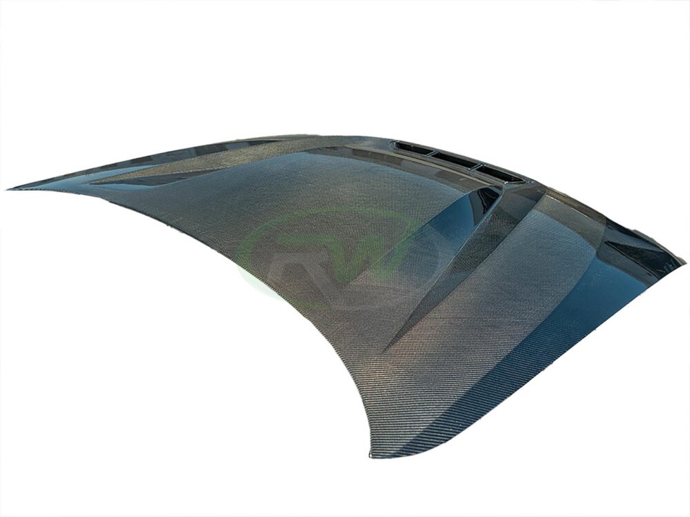 RW Carbon BMW G20 3-Series DTM Carbon Fiber Hood - Image 20