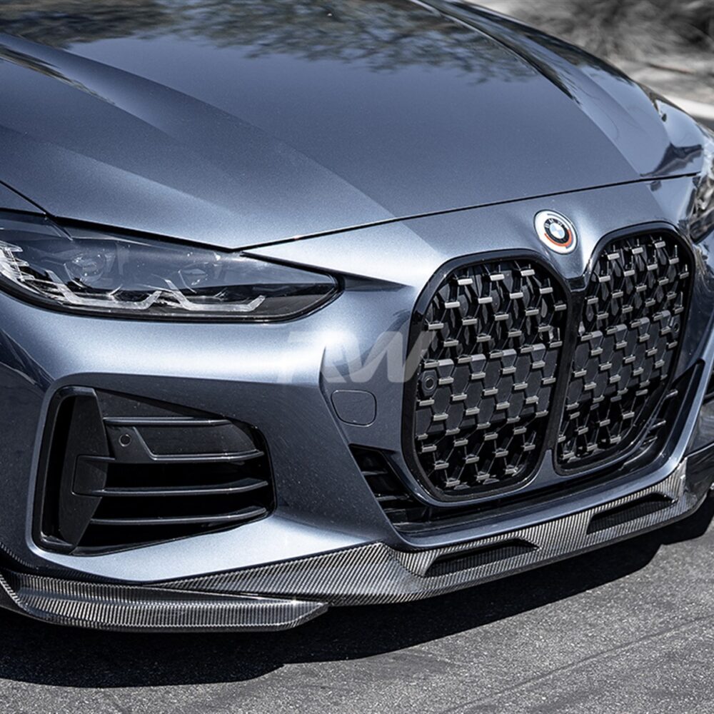 RW Carbon BMW G22 G23 4-Series DTM Carbon Fiber Front Lip