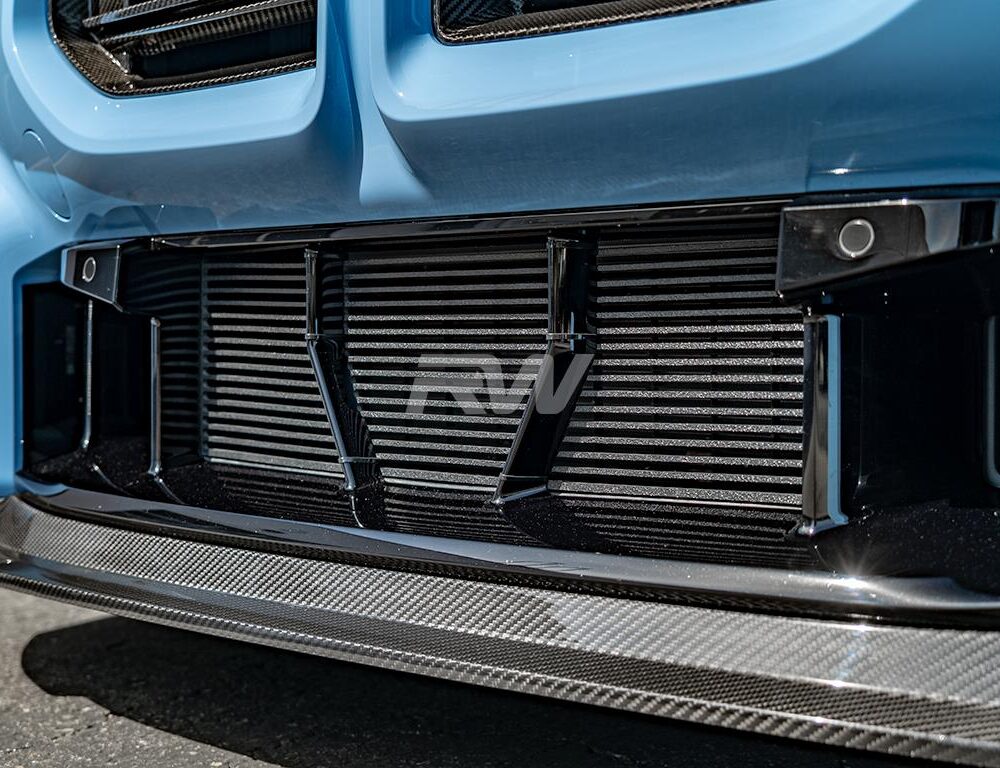 RW Carbon BMW G87 M2 ABS Mesh Lower Grille Guard